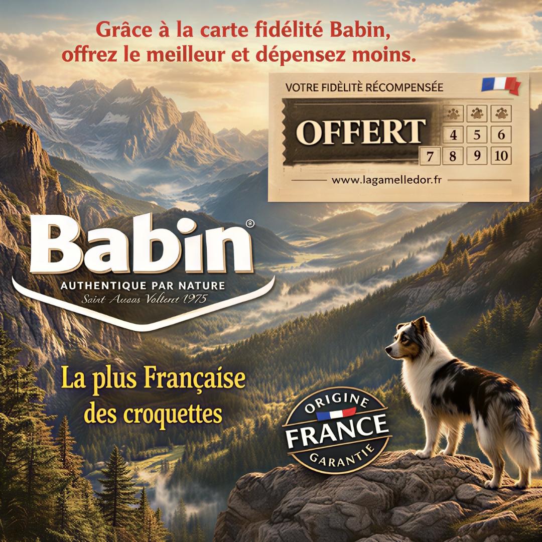 croquettes chien Bab'in Grenoble