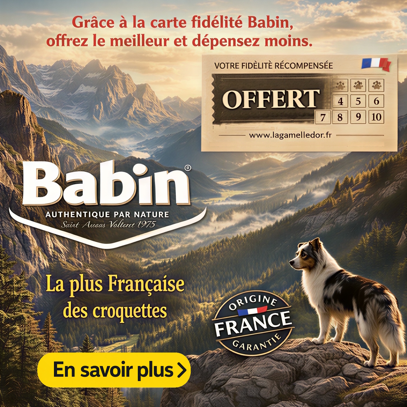 alimentation Bab'in pour chien et chat Echirolles